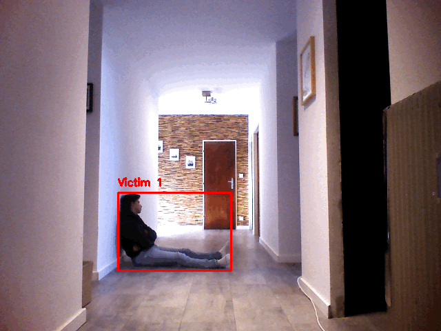 Multimodal Visual Life Detection