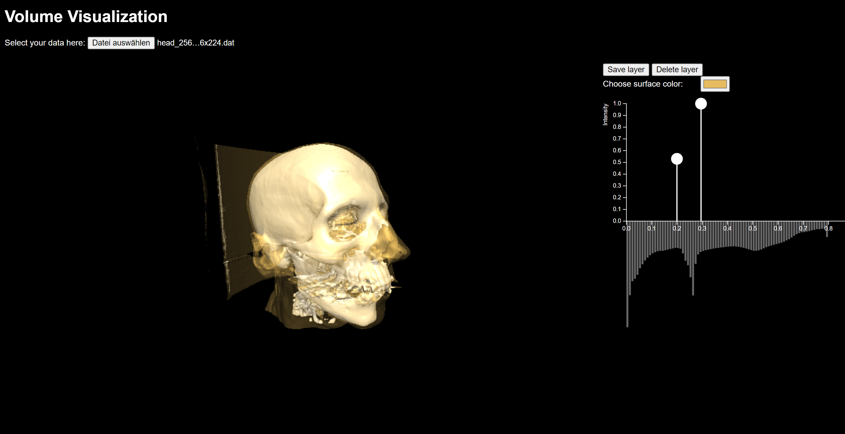 Volume Visualization screenshot